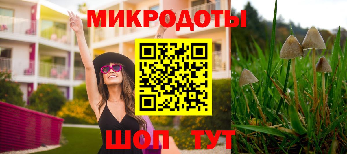 Галлюциногенные грибы Cubensis  Вход с VPN  Гай  Псилоцибиновые грибы мухоморы 